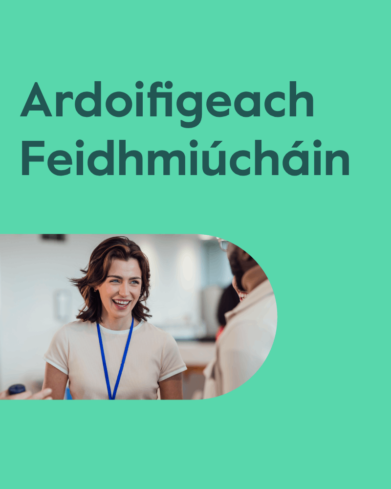 Ardoifigeach Feidhmiúcháin