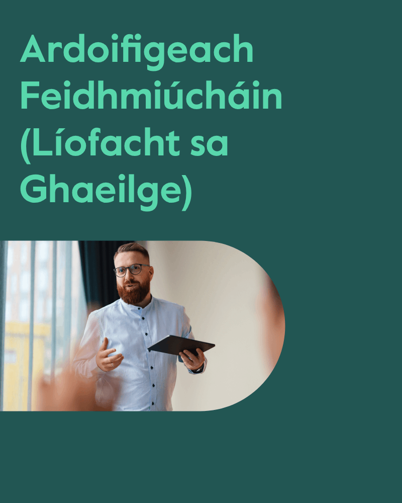 Higher Executive Officer Irish